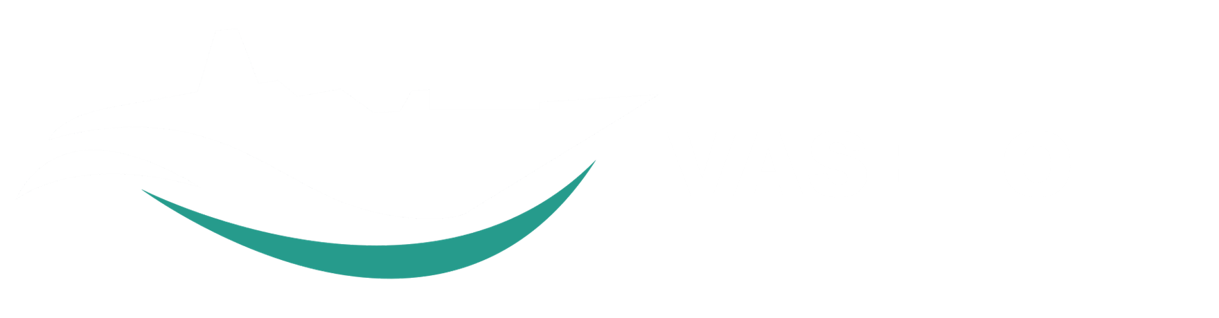 VASELO FZCO logo